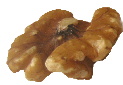 nutritious walnut